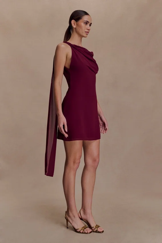 Daisie Chiffon Mini Dress – Wine Daisie Chiffon Mini Dress – Wine