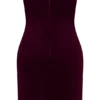 Paulina Velvet Strapless Mini Dress – Wine Paulina Velvet Strapless Mini Dress – Wine