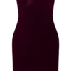 Paulina Velvet Strapless Mini Dress – Wine Paulina Velvet Strapless Mini Dress – Wine