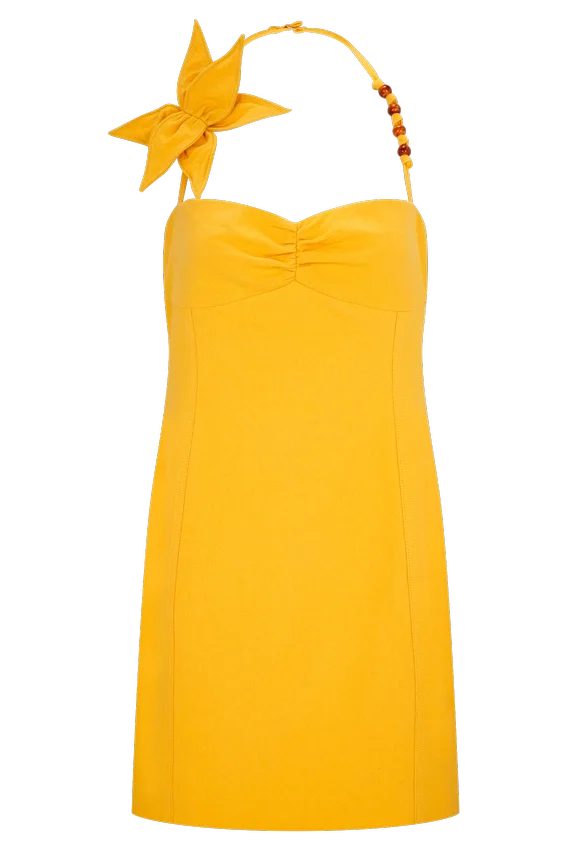 Reyes Cotton Floral Mini Dress – Butterscotch Reyes Cotton Floral Mini Dress – Butterscotch