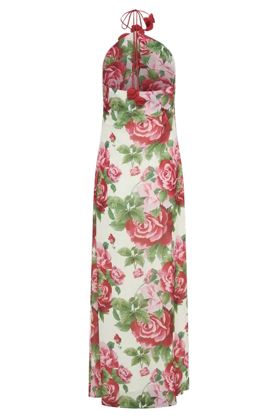 Rosalia Cowl Neck Maxi Dress – Sonia Rose Print Rosalia Cowl Neck Maxi Dress – Sonia Rose Print