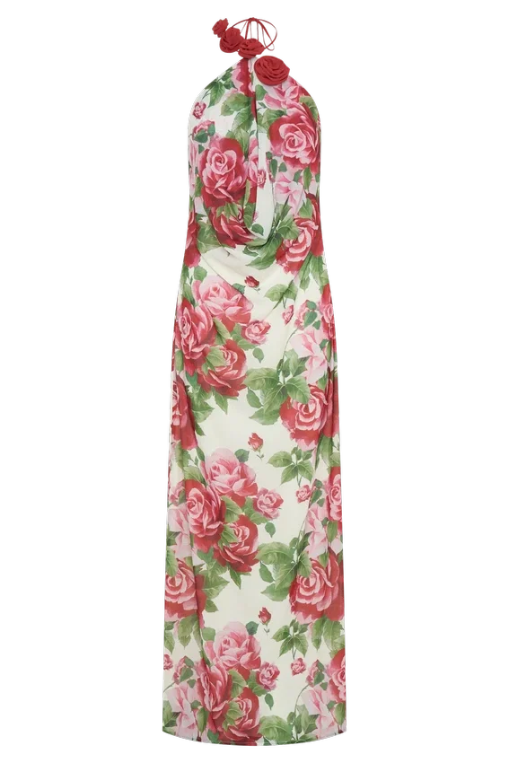 Rosalia Cowl Neck Maxi Dress – Sonia Rose Print Rosalia Cowl Neck Maxi Dress – Sonia Rose Print