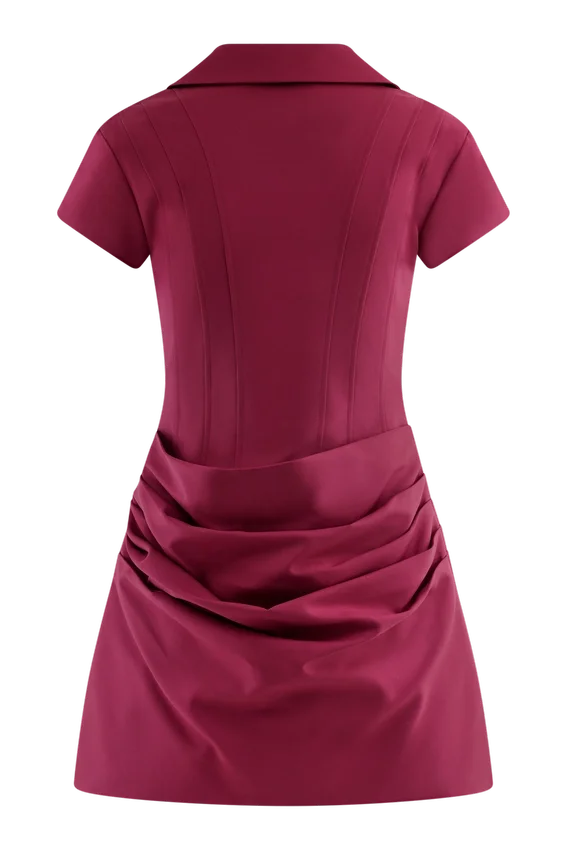 Tarryn Collared Cotton Mini Dress – Dragonfruit Tarryn Collared Cotton Mini Dress – Dragonfruit